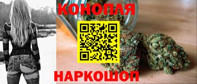 прущие грибы Славгород