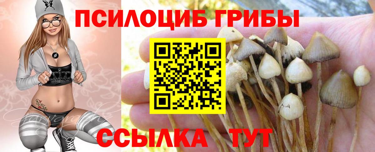 Псилоцибиновые грибы мицелий  Псилоцибиновые грибы Psilocybe  Вход с VPN  Кумертау 